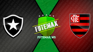 Assistir Botafogo x Flamengo ao vivo online 02/08/2023