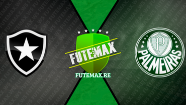 Assistir Botafogo x Palmeiras ao vivo online 01/11/2023