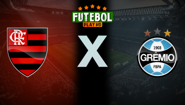 Assistir Flamengo x Grêmio ao vivo online 13/06/2024