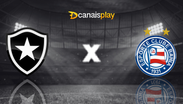 Assistir Botafogo x Bahia ao vivo online 30/07/2024