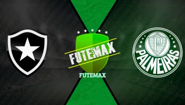 Assistir Botafogo x Palmeiras ao vivo online 14/08/2024